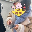 [햅삐] 12월 행운의 날🍀 (aka. 견우직녀브이로그)