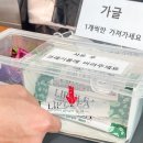 나주 홍어 맛집 영산포 홍어거리 찐맛집 홍어1번지 주차, 가격, 홍어코스 맛 후기