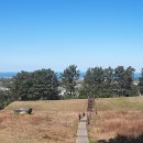 항몽유적지 이미지