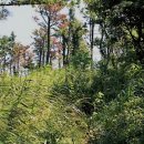 동광리-8 이미지