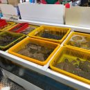 용이수산 이미지