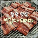 반갑다돼지야 | [전남 함평] 함평 맛집 '반갑다돼지야' 갈비소금구이 찐 후기