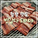 돼지야반갑다 | [전남 함평] 함평 맛집 &#39;반갑다돼지야&#39; 갈비소금구이 찐 후기