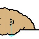 글라스미 렌즈미 숙대점 이미지