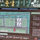 을숙도 풋살경기장 이미지