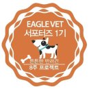 야미스넥