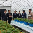 신안센터-8 이미지