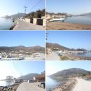 넙도초등학교서리분교장 네이버블로그