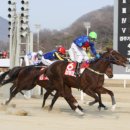 마주 이미지