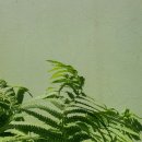 자연인테리어 이미지