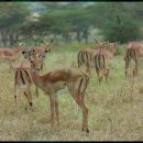 리디아의 정원 | 리디아의정원 방문 후기와 추천
