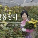 만봉농장 이미지