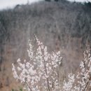 용소골하우스