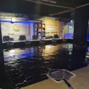 수원실내낚시터 이미지