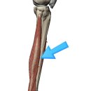 번 피트니스 이미지