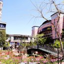 자유온천 이미지