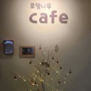 로뎀트리로뎀나무 이미지