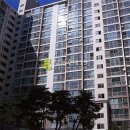 보식골로 이미지