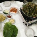 더돼지촌