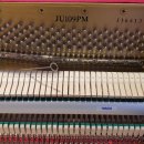 초록마을펜션 이미지