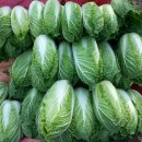 옥천농장 이미지