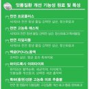 미르덴탈