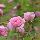 허심청 모텔 이미지