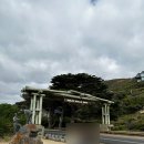 🇦🇺여긴 천국 호주 멜버른 자유여행 🦘 그레이트 오션로드 투어 조이투어 후기