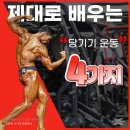 석촌역 | 석촌역 헬스장 PT 후기│엑셀휘트니스 창욱쌤과 제대로 배우는 당기기 운동 4가지 !