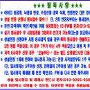 신면식 Daum카페