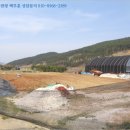 거제고현초등학교 이미지