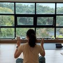 테라피 요가 | [원데이클래스]마인스요가X디야니 원데이클래스 아로마 테라피 요가 후기!