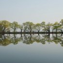 남산반곡지 이미지