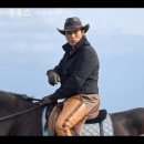 선아목장 이미지