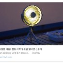 만리포몰디브 | 태안 가볼 만한 곳 18곳(음식점, 카페, 관광지 포함)