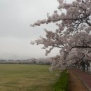 신라초등학교 이미지