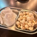 발랄한맥주 | 서귀포시 이중섭거리 술집 발랄한맥주 후기