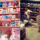 펫플레이스 이미지