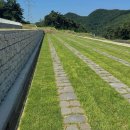 자연장지 이미지