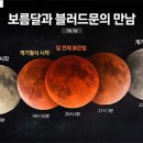 정월 대보름 달의 생명체에 끼치는 영향 이미지