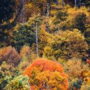 내안에너 이미지