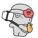 제주노을보리 이미지