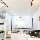 보드레도그 이미지