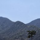 황산공원 족구장 이미지