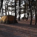 몽산포힐링캠핑장 이미지