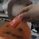 로댕 펫 살롱 이미지