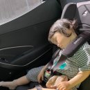 원두막목장 이미지