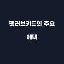 펫러브 - 8968 | 펫러브