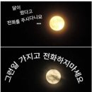 한해를 돌아보며