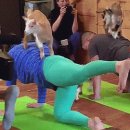 KING 안마시술소 이미지